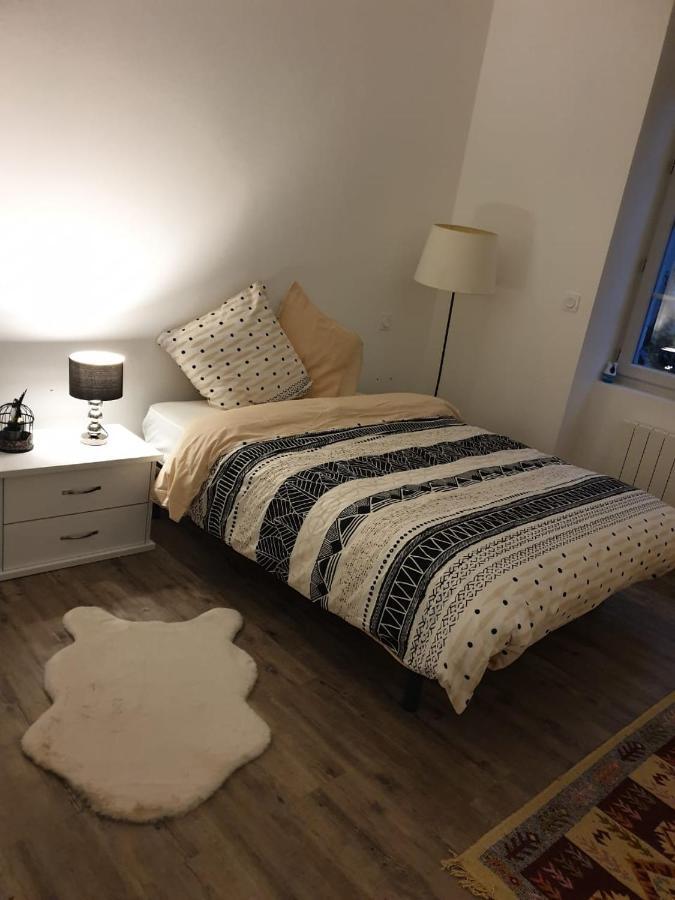 Appartement Cosy Et Chaleureux Lons-le-Saunier Ngoại thất bức ảnh